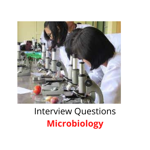 microbiology phd interview questions