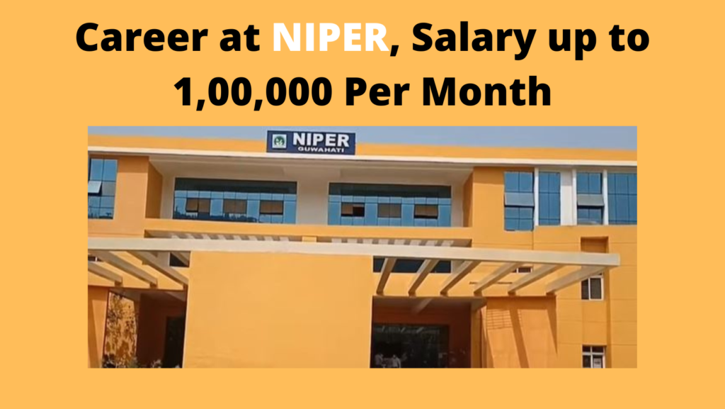 Career at NIPER