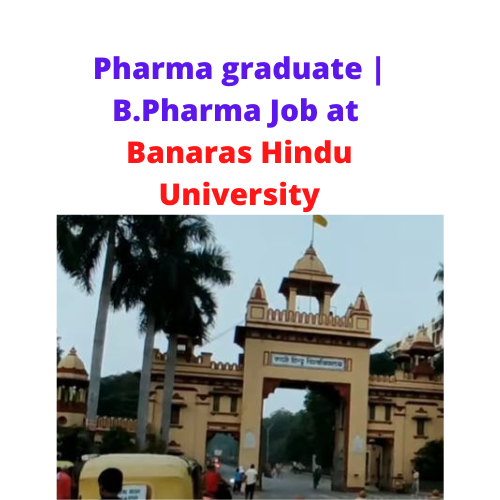 B.Pharma Job under Government of India Project at Banaras Hindu University