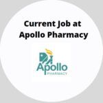 Current Job at Apollo Pharmacy