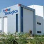 Zydus Biologics Urgent Openings